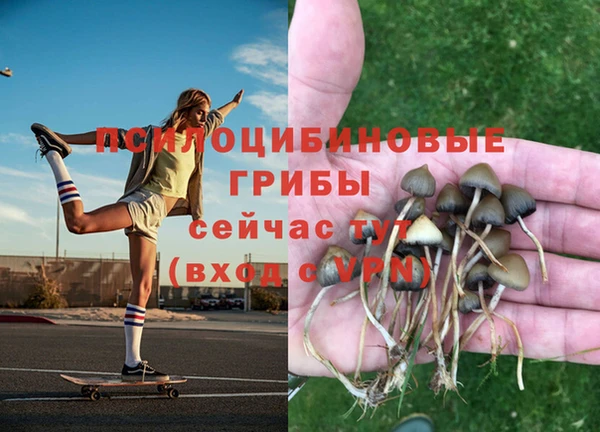 прущая мука Елабуга