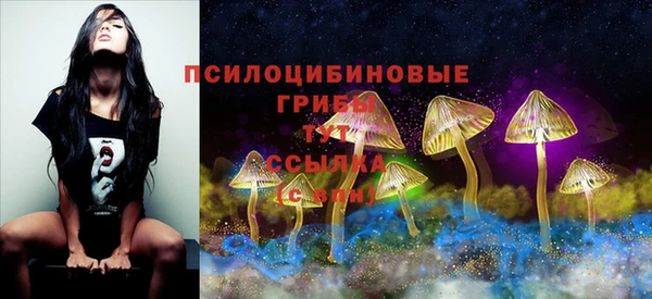 не бодяженный Ельня
