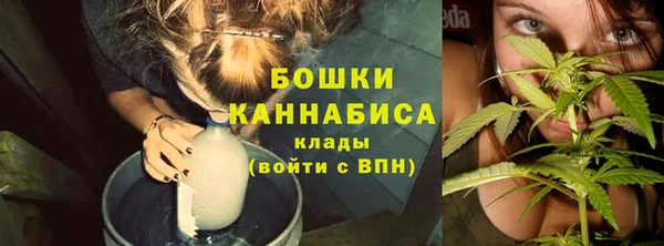 дживик Елизово