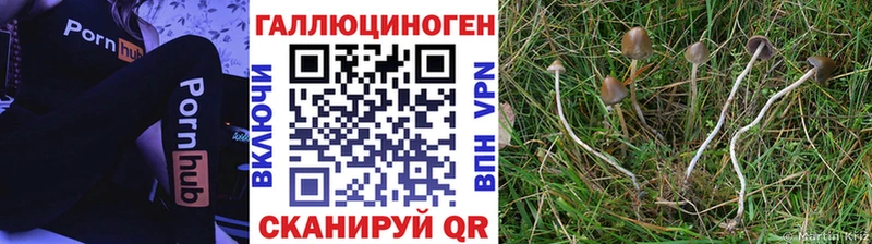OMG ONION  где можно купить   Заозёрск  Галлюциногенные грибы GOLDEN TEACHER 